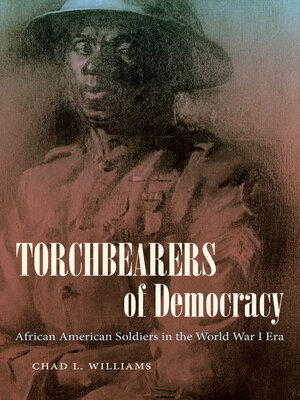cover image of Torchbearers of Democracy